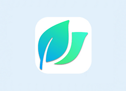 PC | 轻量级图片查看器 | LeafView v3.9.3 中文安装版及绿色版